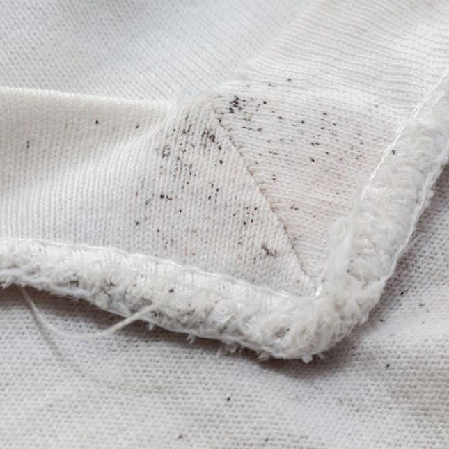 Des traces noires, grisâtres, parfois grasses ou moisies